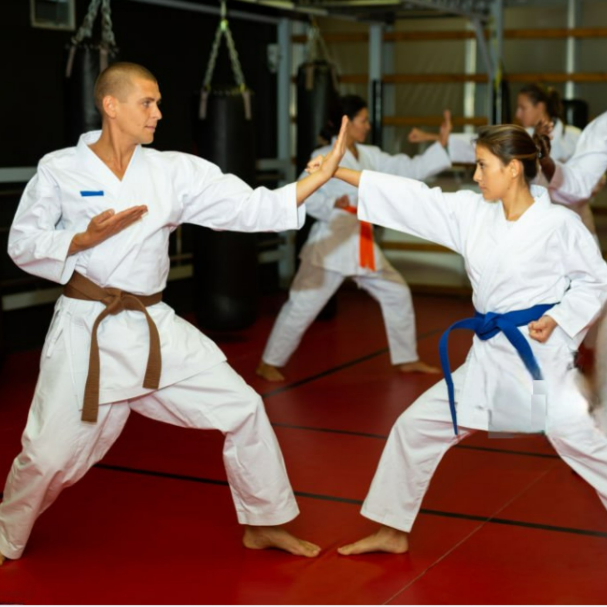 Harmony of Hard and Soft — 剛柔一体 Karate Spirit