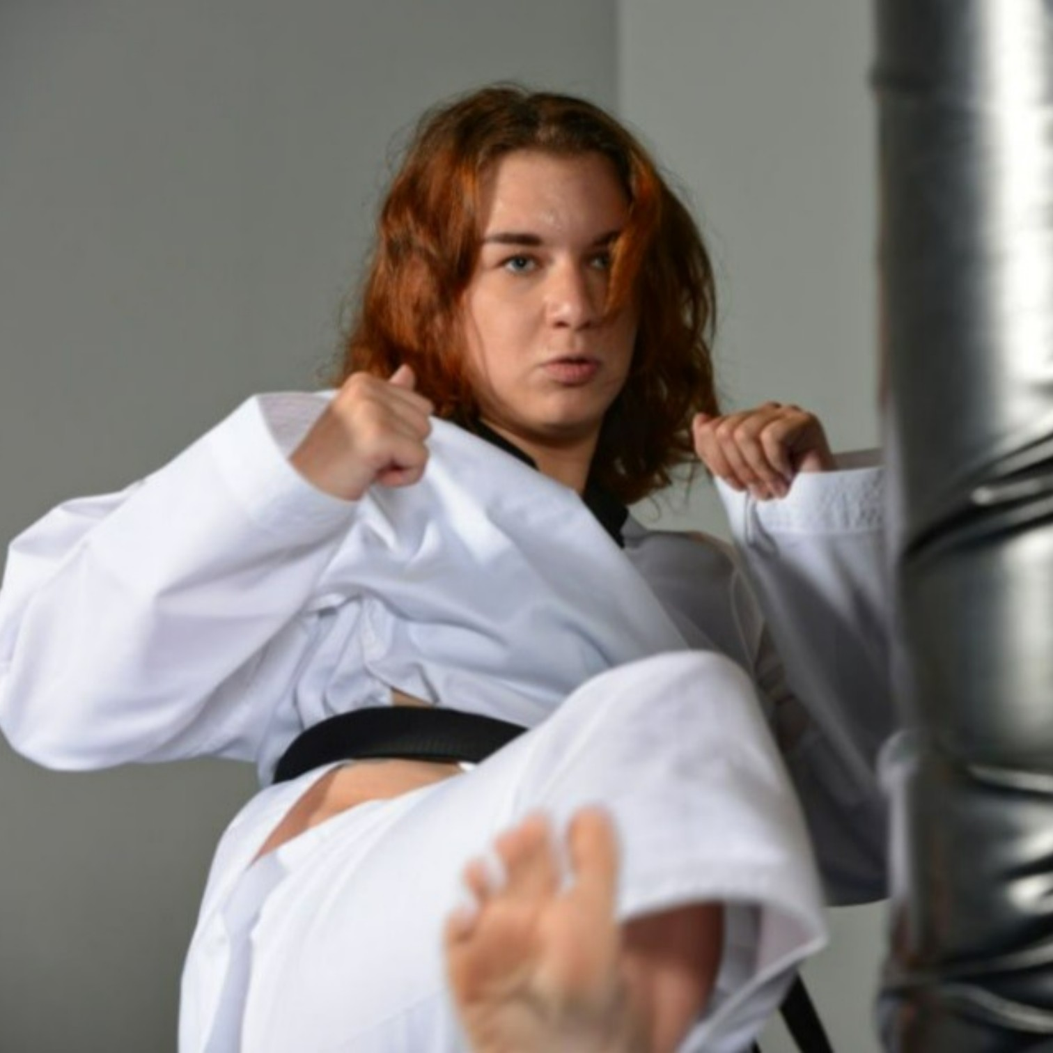 Esprit, Technique et Force Physique — 心技体 (Shin-Gi-Tai)