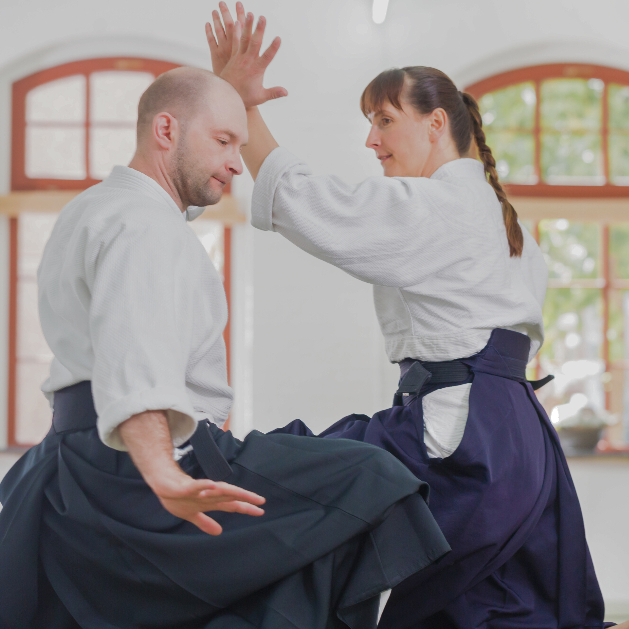 Esprit, Technique et Force Physique — 心技体 (Shin-Gi-Tai)