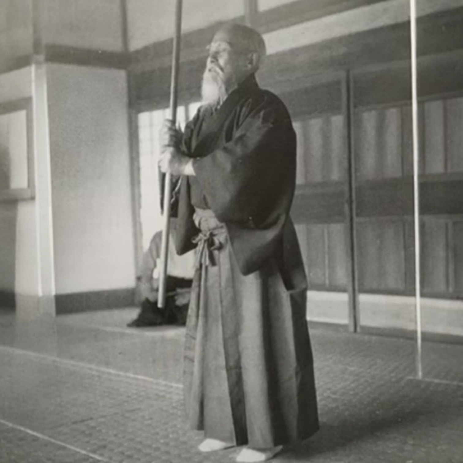 Le pouvoir créatif de l'Aïkido — 武産合気 (Takemusu Aiki) par Yuka